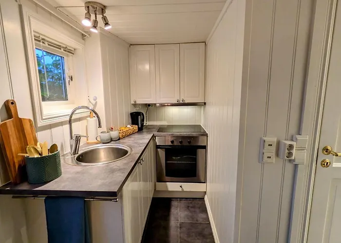 Апартаменты Exclusive And Cosy! Sea And Mountian View - Superfast Wifi, Washer And Included Сортланн